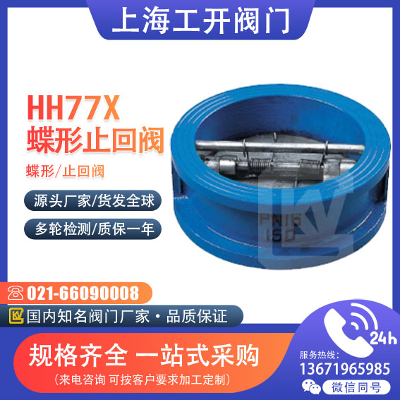 止回閥 蝶形止回閥