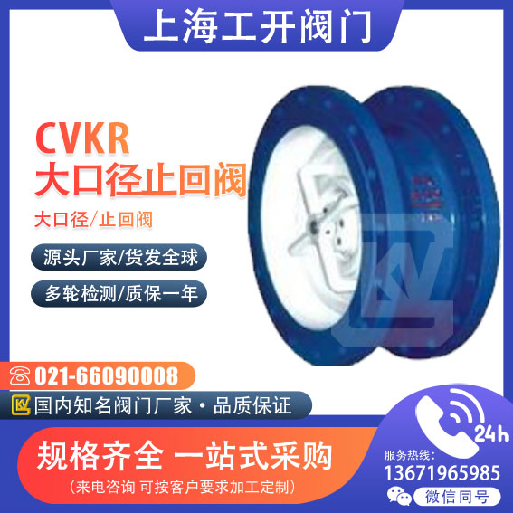 止回閥 大口徑止回閥