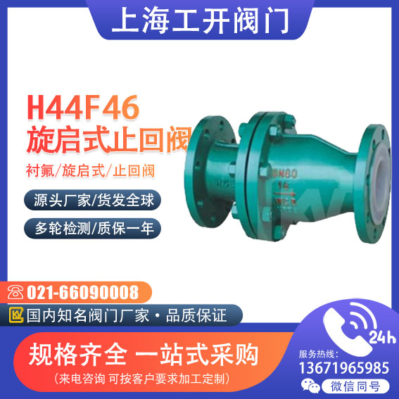 止回閥 襯氟旋啟式止回閥