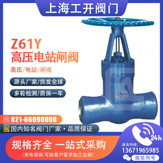 閘閥 高壓電站閘閥