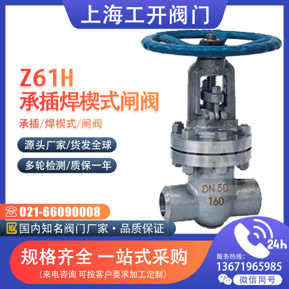 閘閥 承插焊楔式閘閥
