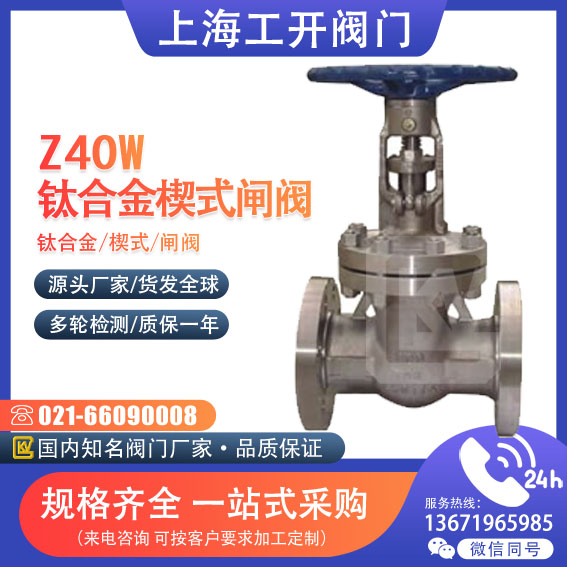 閘閥 鈦合金楔式閘閥